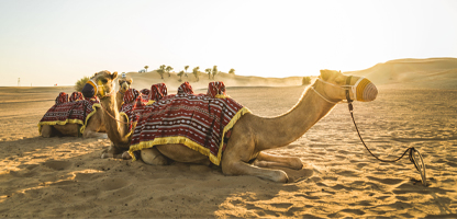 Rundreise Tunesien Oase der Wüste