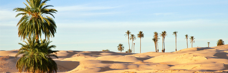 Rundreise Tunesien Zauber der Wüste