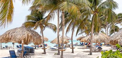Aruba Urlaub Palm Beach