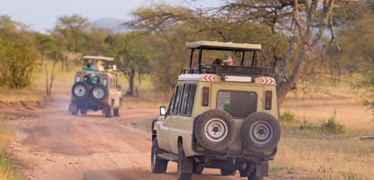 Kenia Safari Angebote