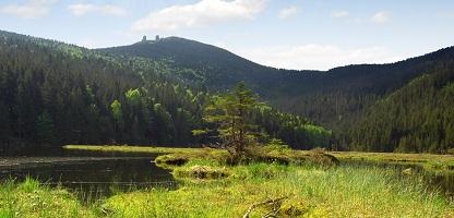 Kurzurlaub Bayerischer Wald