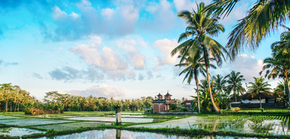 Bali Mittelklassehotels