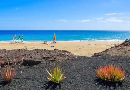 Reiseschnäppchen Fuerteventura