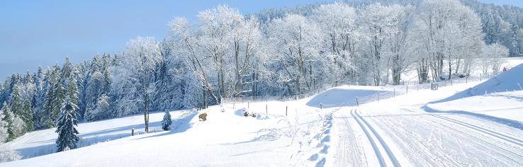 Skigebiet Waldkirchen Bayerischer Wald