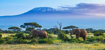 Tansania Afrika Reisen