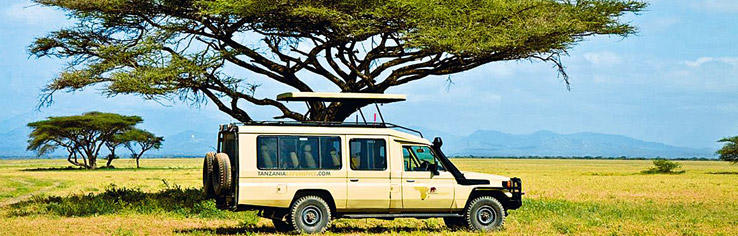 Tansania Safari Abenteuer