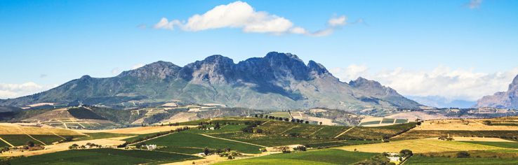 Südafrika Rundreise Wellness, Wein & Wilde Tiere