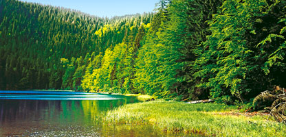 Wellnessurlaub Bayerischer Wald Luxushotels