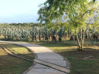 Yucatan Haciendas